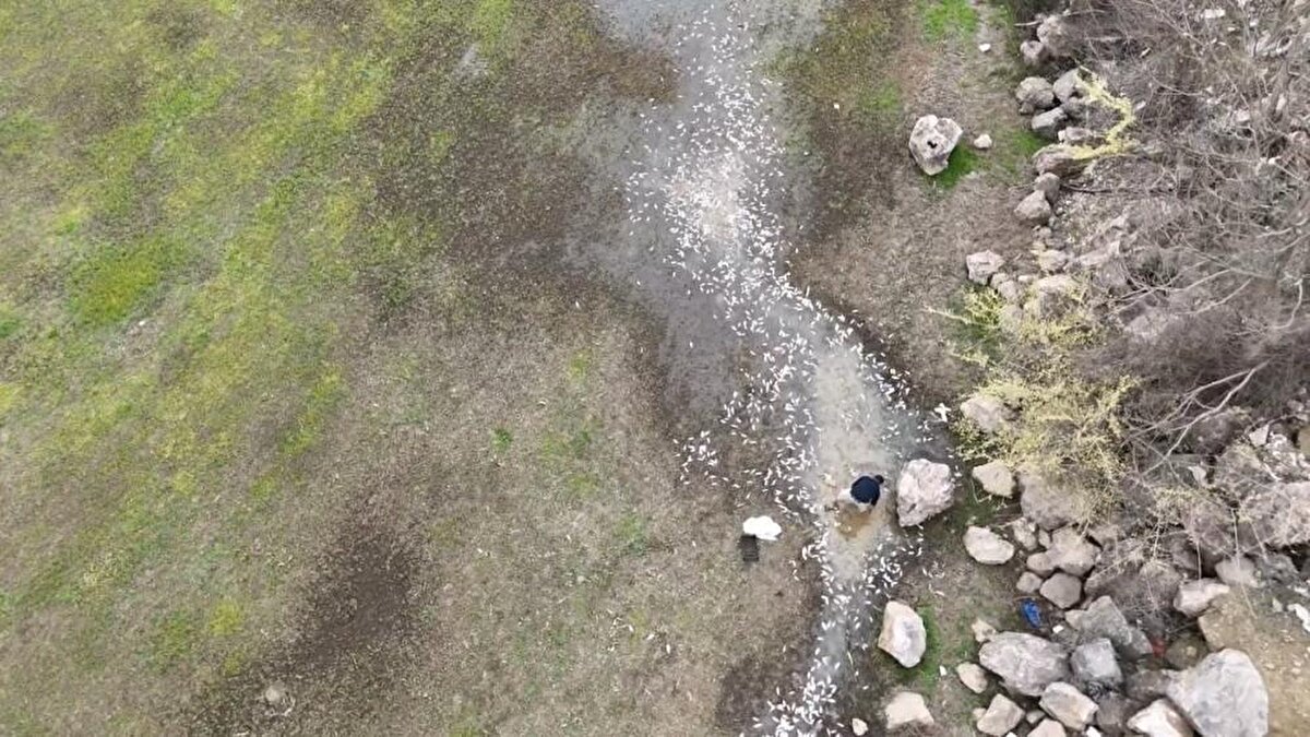 Yapılan açıklamada şu ifadelere yer verildi:<br><br>"26 Mart 2025 tarihinde Tarım ve Orman İlçe müdürlüğümüze gelen balık ölümleri ile ilgili telefon ihbarı üzerine 27 Mart 2025 tarihinde İlçe müdürlüğümüz personellerince olay yerine gidilerek gerekli incelemeler yapılmıştır. Hamzabey Köyü girişindeki Hamzabey Göleti’nin bir bölümünde mevsimsel su azalmasına bağlı olarak suların ciddi oranda çekildiği, bu sebeple suların azaldığı kısımda kalan balıkların ölümünün gerçekleştiği bir kısmının da ölmek üzere olduğu tarafımızca gözlemlenmiştir. Olay yerinden su ve balık numunesi alınarak incelenmek üzere Bursa Gıda ve Yem Kontrol Merkez Araştırma Enstitüsü Müdürlüğüne gönderilmiştir."