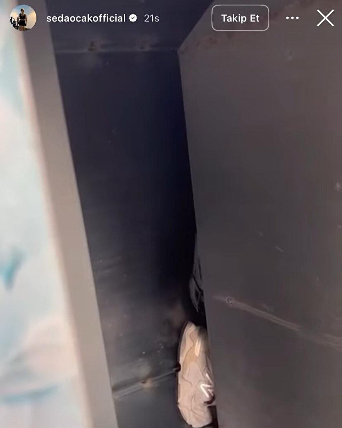 Belediyeye ulaşamadığını belirten Seda Ocak, son çare olarak konteynere kendisi girdi.