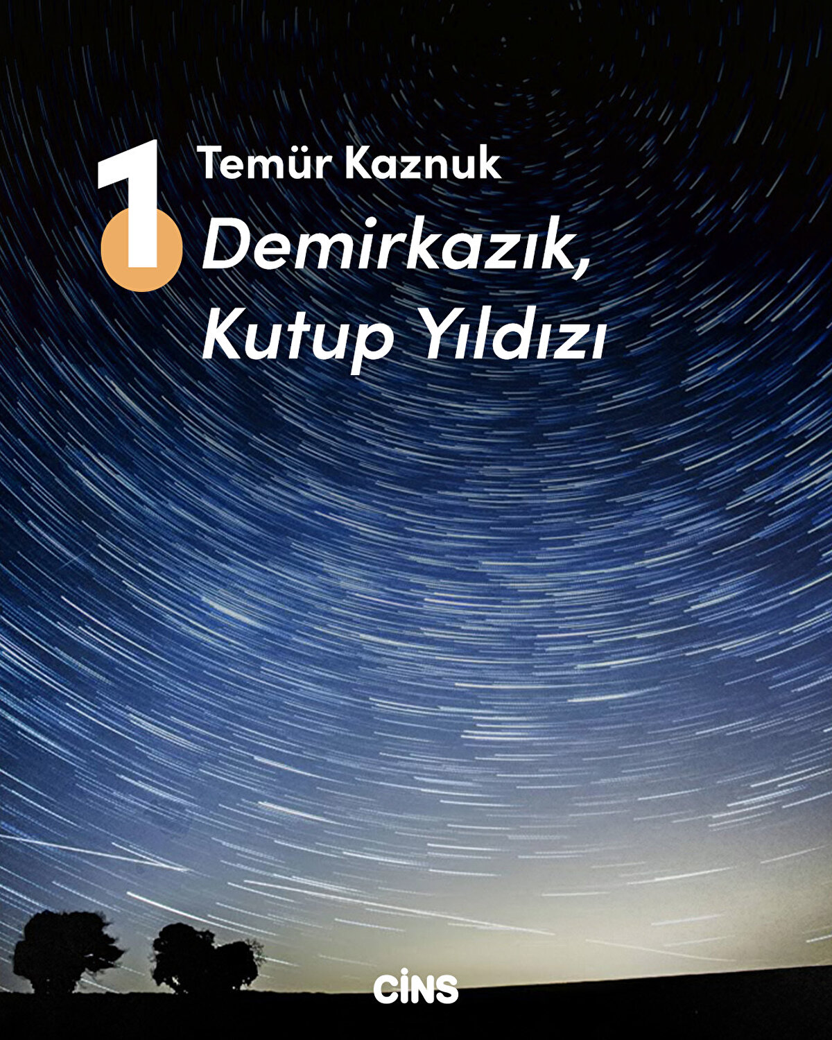 Temür Kaznuk<br>Demirkazık, Kutup Yıldızı