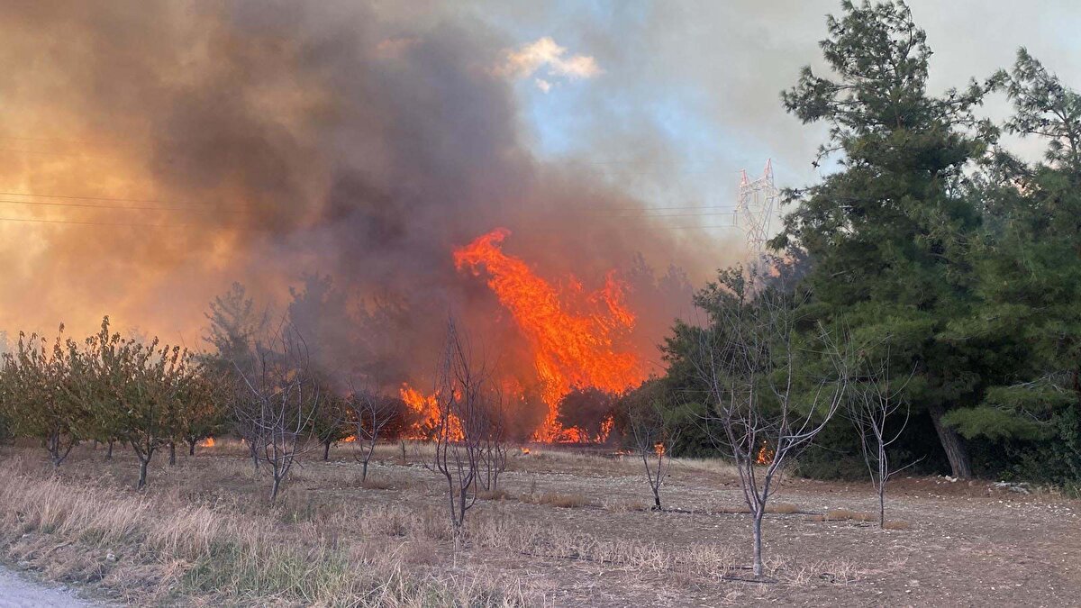 4 hektar alanın zarar gördüğü belirlendi. İncelemede; 2 kardeş M.P. ile M.P.'nin bahçe temizliği yaptığı sırada 3 farklı noktada yangının çıktığı tespit edildi. 