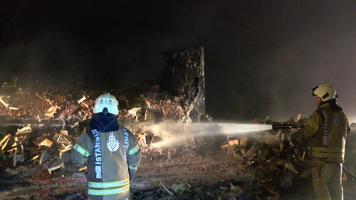 Aracın lastiklerinden yükselen alevleri fark eden şoför, TIR'ı emniyet şeridine çekti.