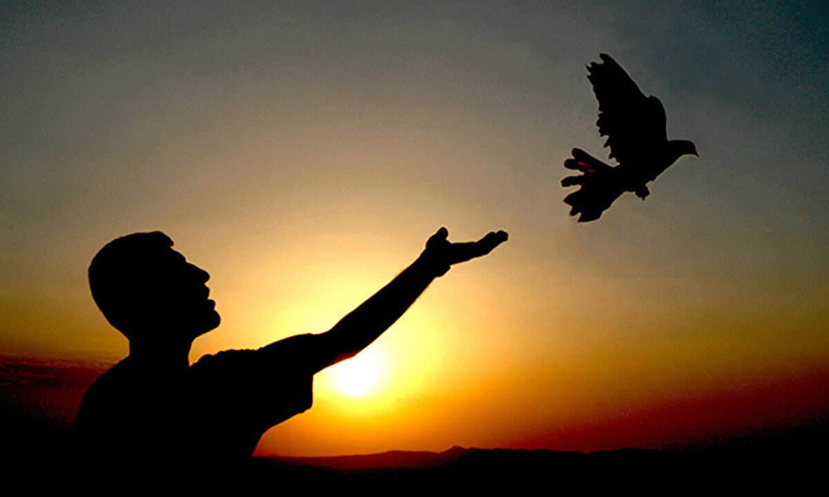 Hz. Yusuf<br><br>Doğum Yeri: Kenan Diyarı (Filistin)<br><br>Yaşadığı Yer: Mısır