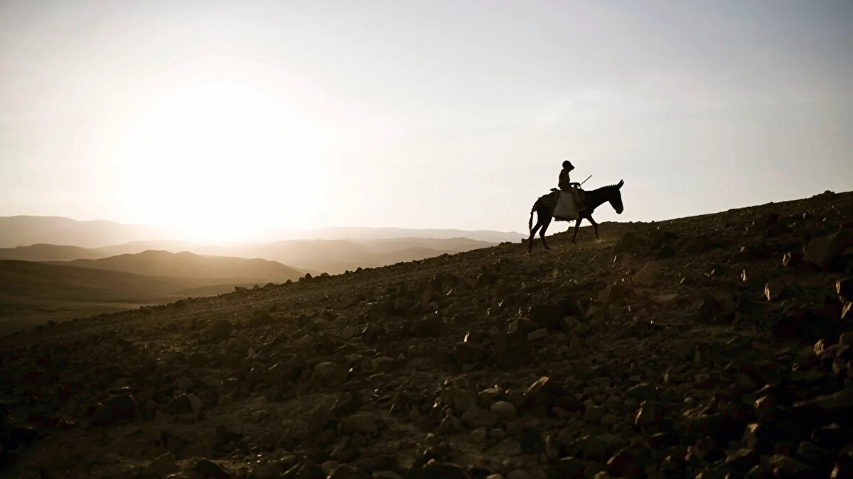 Hz. Nuh<br><br>Doğum Yeri: Antakya veya Musul civarı (tahmini)<br><br>Yaşadığı Yer: Mezopotamya ve civarı