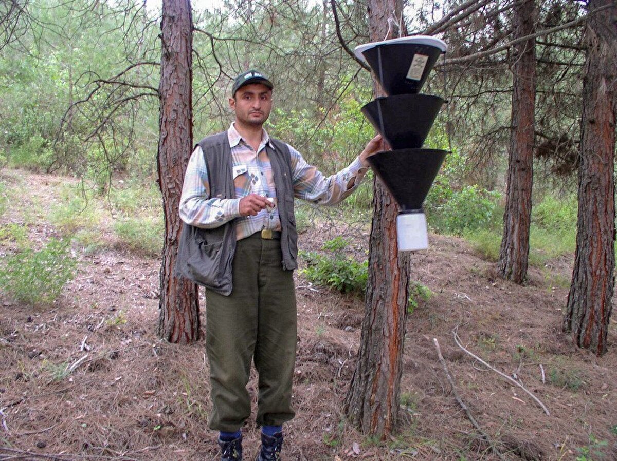 "Biyokaçakçılık yoluyla bunları yurt dışına çıkarabiliyorlar"<br><br>Türkiye olarak taraf olduğumuz çok sayıda uluslararası sözleşmeler kapsamında biyoçeşitliliğin korunmasına yönelik birtakım sorumlulukları olduğunu vurgulayan Demirel, "Örneğin CITES anlaşması, yabani hayvan ve bitki türlerinin uluslararası ticaretini düzenleyen bir anlaşmadır. Bu anlaşmaya bağlı olarak ülkeler arasındaki hayvan ve bitki örneklerinin canlı, ölü ya da parçalarının değişimi belirli kurallara bağlıdır. Bu kurallar maalesef gözden kaçıyor ve yabancı araştırıcılar biyokaçakçılık yoluyla bunları yurt dışına çıkarabiliyorlar. Çıkardıktan sonra az önce de söylemiş olduğum gibi toplumun hassasiyetlerini hiçe sayarak isimlendirmeler yapabiliyorlar. O yüzden herkesi biyoçeşitliliğimizi korumaya davet ediyorum" dedi.<br><br>Asrın felaketi olan 6 Şubat depreminden sonra Ankara’da geçici olarak ikamet eden Demirel, birçok verisinin ve çalışma malzemesinin de enkaz altında kaldığını belirtti.