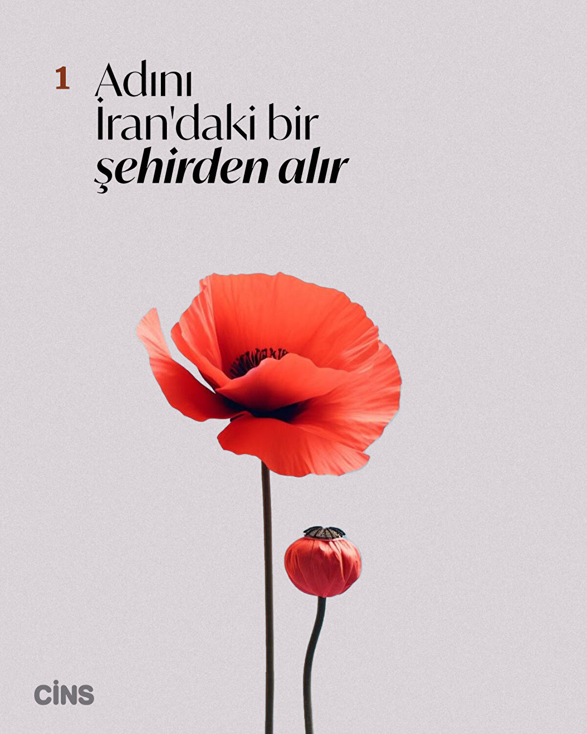 1-Adını İran’daki bir şehirden alır