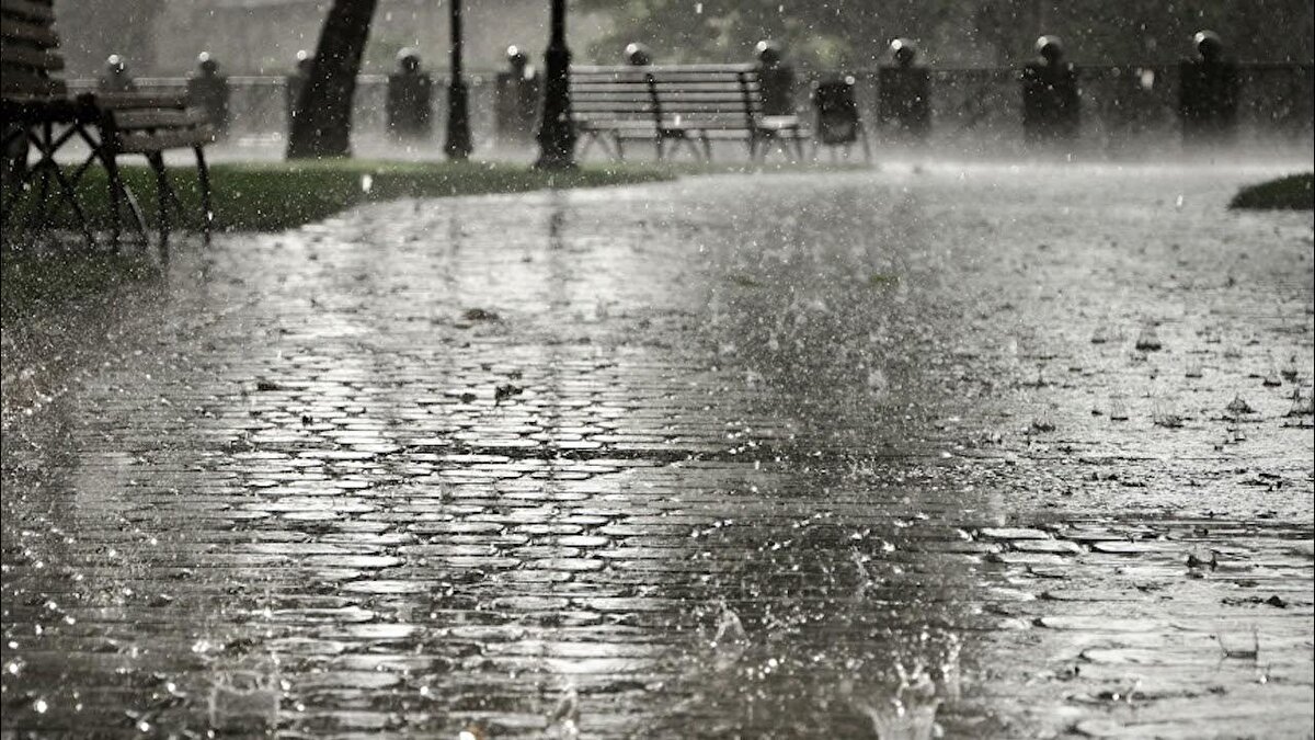 Yağışların genellikle yağmur ve sağanak, güney, iç ve batı kesimlerde yer yer gök gürültü sağanak, Doğu Karadeniz’in iç kesimleri ile Doğu Anadolu’nun kuzeydoğusunun yüksek kesimlerinde karla karışık yağmur ve kar şeklinde görülmesi beklenen yağışların Doğu Anadolu'nun batısı ile Antalya’nın doğusu, Mersin, Adana, Kahramanmaraş, Osmaniye, Hatay kıyıları, Aksaray, Bitlis, Şırnak, Hakkari, Adıyaman ve Siirt çevrelerinde yer yer kuvvetli olması bekleniyor.