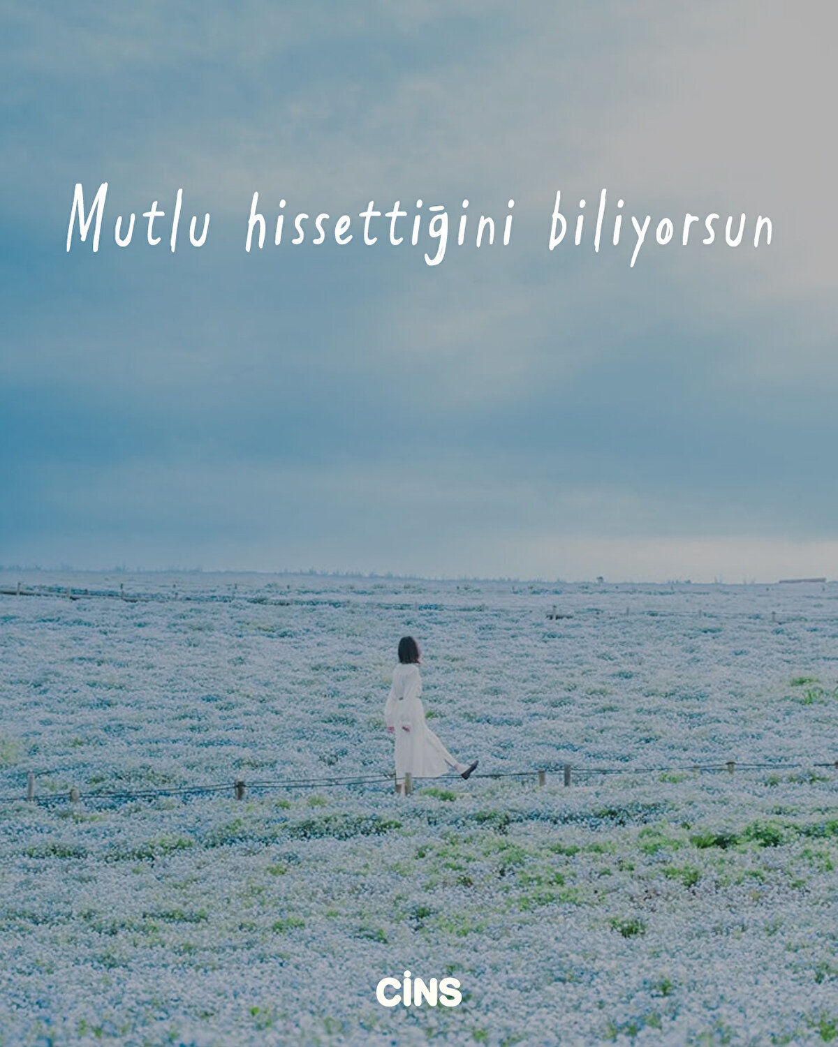 Mutlu hissettiğini biliyorsun