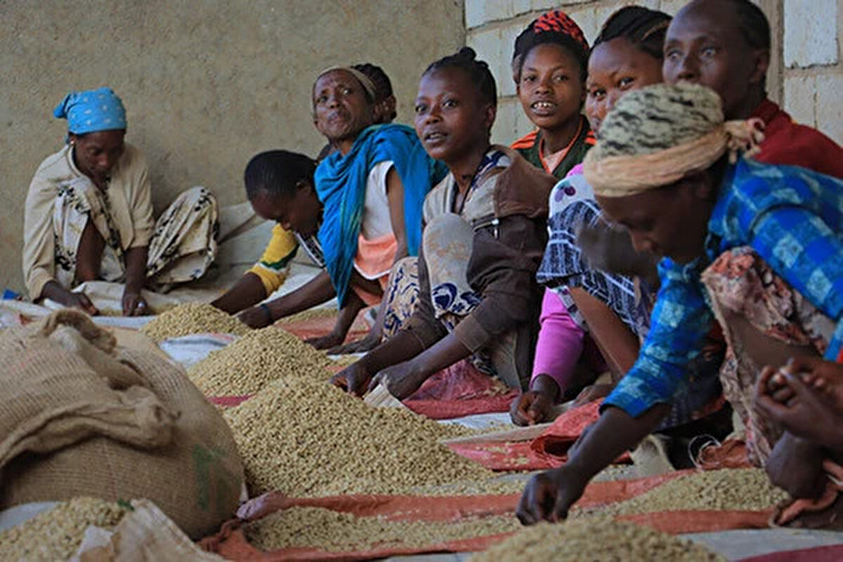 7) ETİYOPYA | 323 MİLYON<br><br>Mevcut Nüfus: 130 milyon