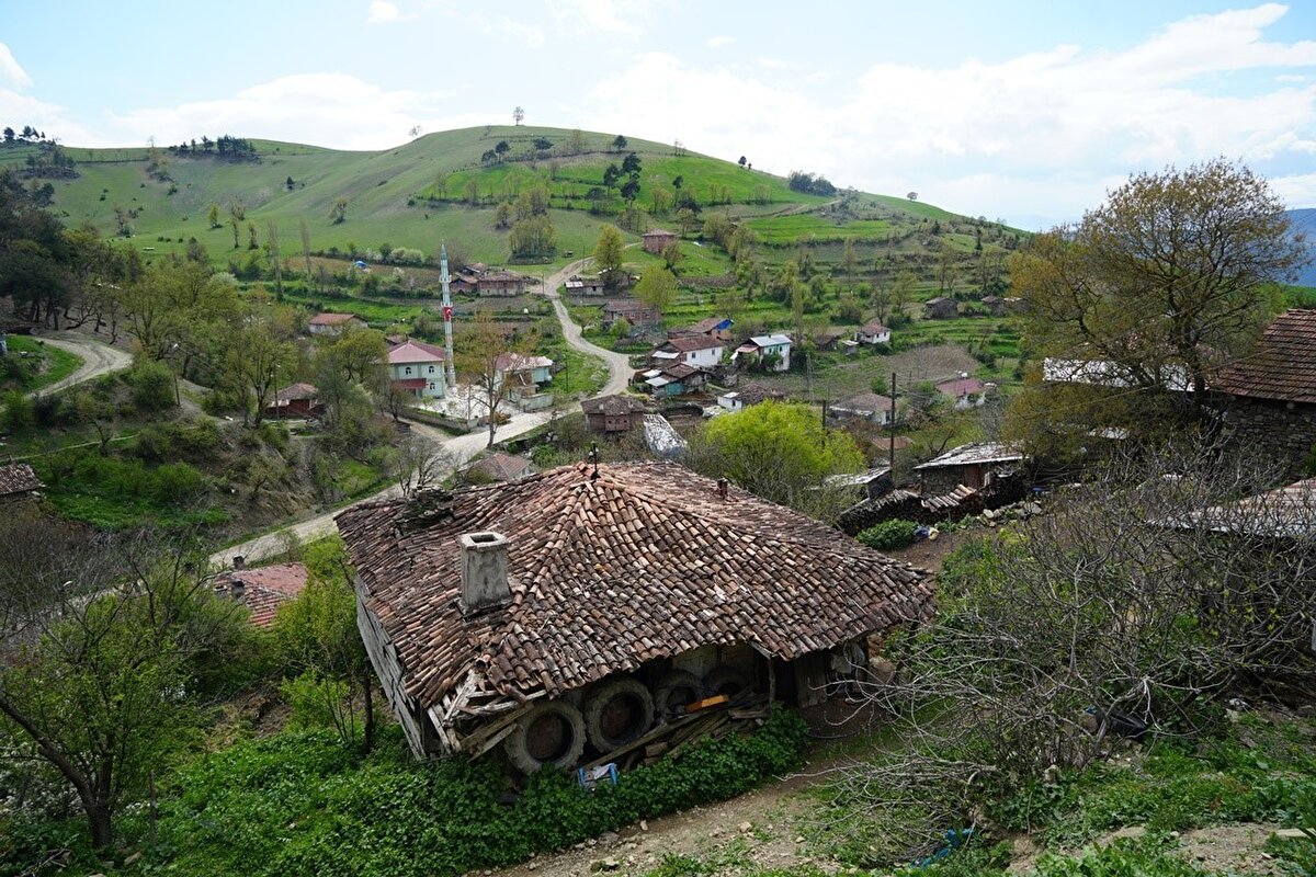 Samsun’un Alaçam ilçesi Gökova Mahallesi’nde sağır ve dilsiz oranı endişe verici seviyede. Alaçam ilçe merkezine yaklaşık 40, Samsun şehir merkezine ise 120 kilometre uzaklıkta bulunan Gökova Mahallesi, sağır ve dilsiz sayısının fazlalığı ile dikkat çekiyor. Mahallede doğan yeni nesillerde de aynı engellerin görüldüğü, bebeklerin sağır ve dilsiz olarak dünyaya geldiği ifade ediliyor. Mahalledeki vatandaşların büyük çoğunluğu işaret diliyle iletişim kurarken, bu durumun neden kaynaklandığı konusunda ise net bir bilgi bulunmuyor. Akraba evliliklerinin bu duruma sebep olduğu ihtimali üzerinde durulsa da, mahalle sakinleri farklı nedenlerin de etkili olabileceğini söylüyor.