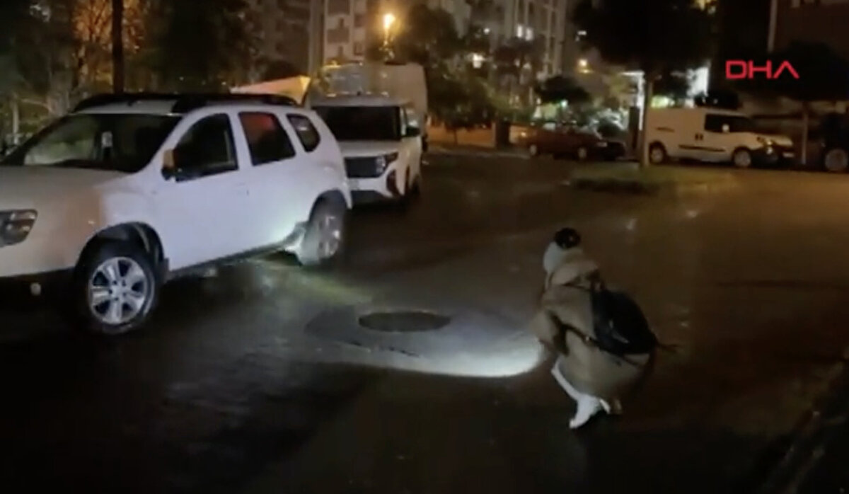 Eşimle beraber gece sokaklarda arama yaptık. Afişler astık, belki gören olur. Tasması da yok, gören sahipsiz sanıp almış olabilir. Ev kedisi olduğu için tasma takmıyordum. 