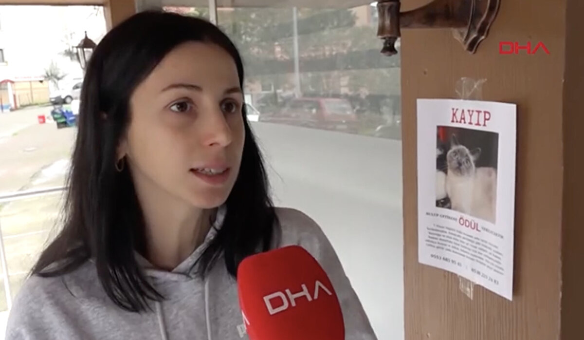 "Ona kavuşmak istiyorum"<br><br>Özge Sağlam da kediyi bulup, getirene toplam 2 gram altın hediye edeceklerini belirterek, “Dışarıyı merak ettiği için kapı aralığından kaçıp gitmiş olabilir.