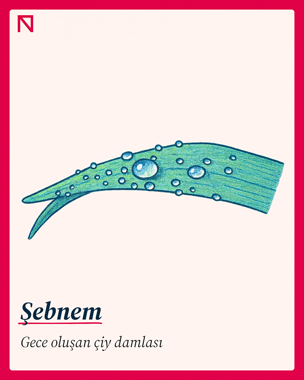 Gece oluşan &#231;iy damlası