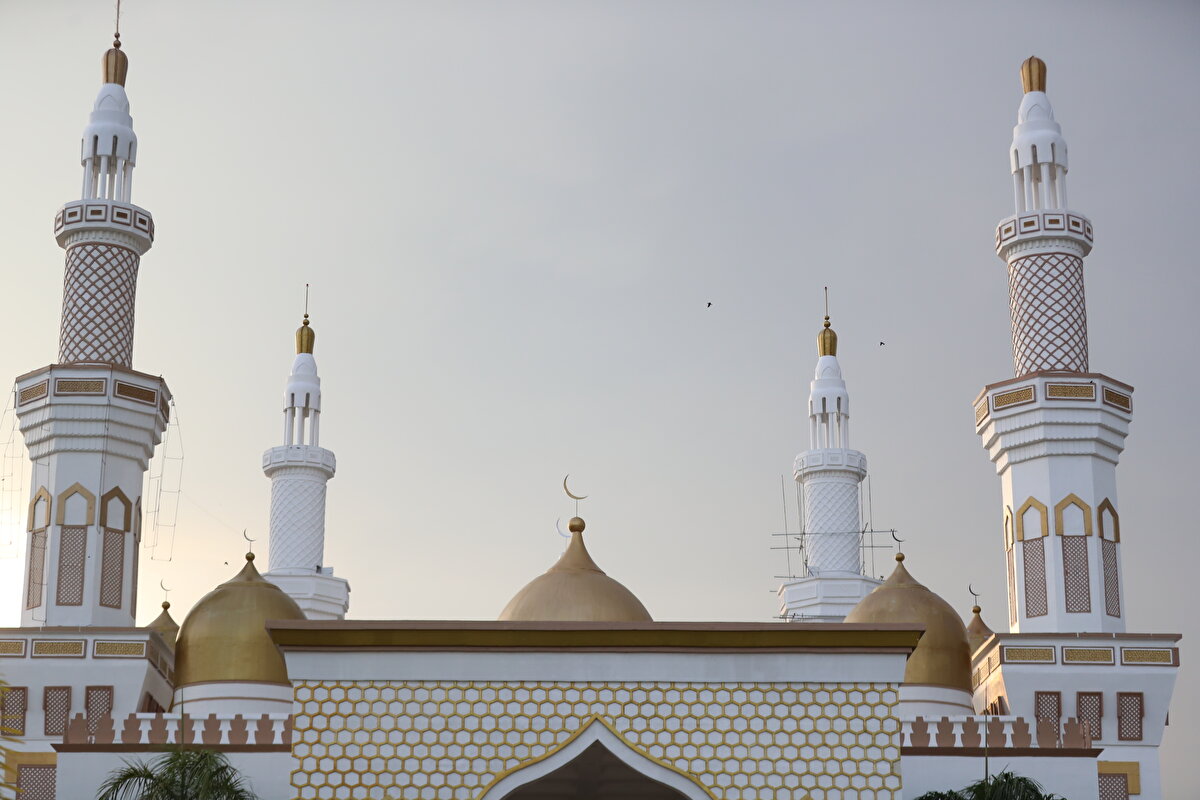 Caminin altın renkli 14 kubbesi bulunmaktadır. Kubbelerin uçları hilalle süslenmiştir. 