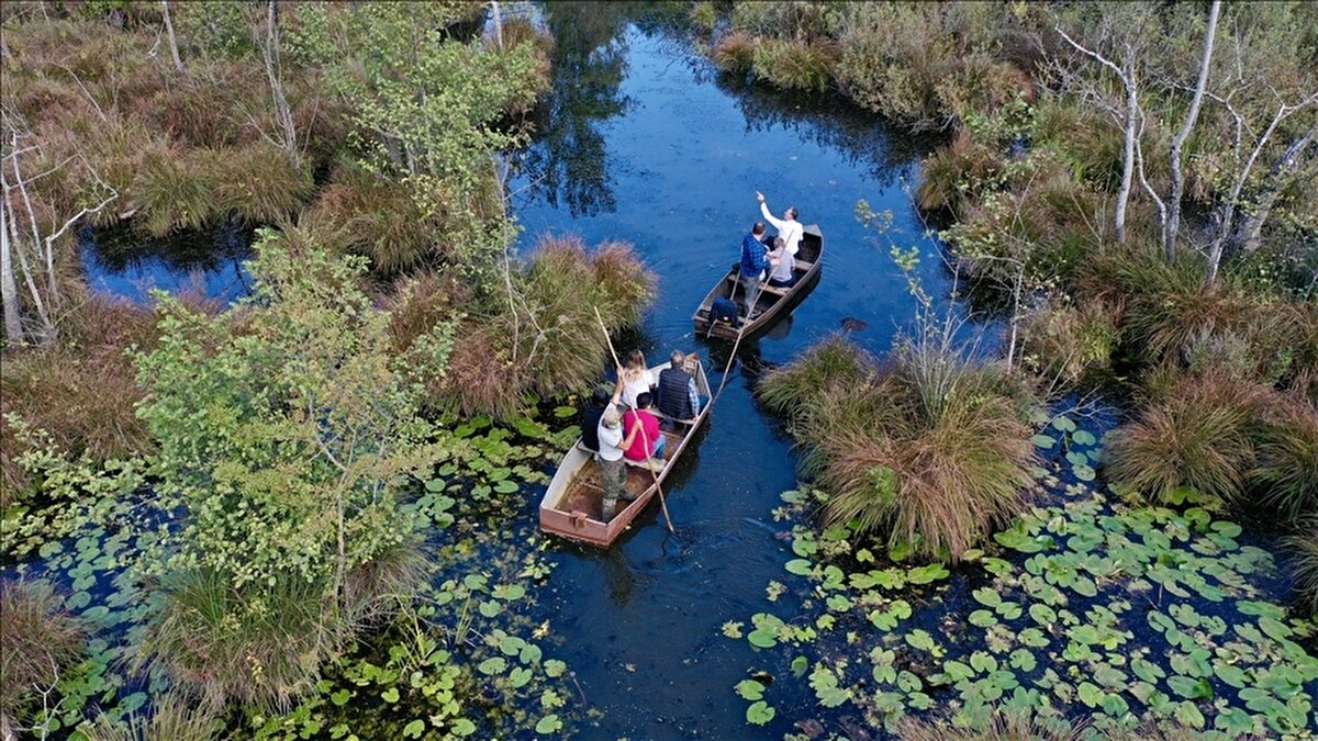 Acarlar Longozu: Türkiye’nin en büyük longoz (subasar ormanı) alanı, nadir bitki türlerine ve kuş çeşitliliğine ev sahipliği yapar.
