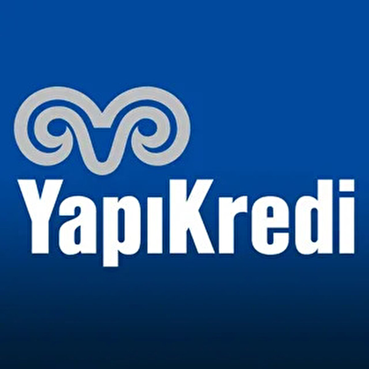 Yapı Kredi (YKBNK), AK Sigorta (AKGRT), Lilak (LILAK), Tofaş (TOASO): 28 Nisan 2025	<br>