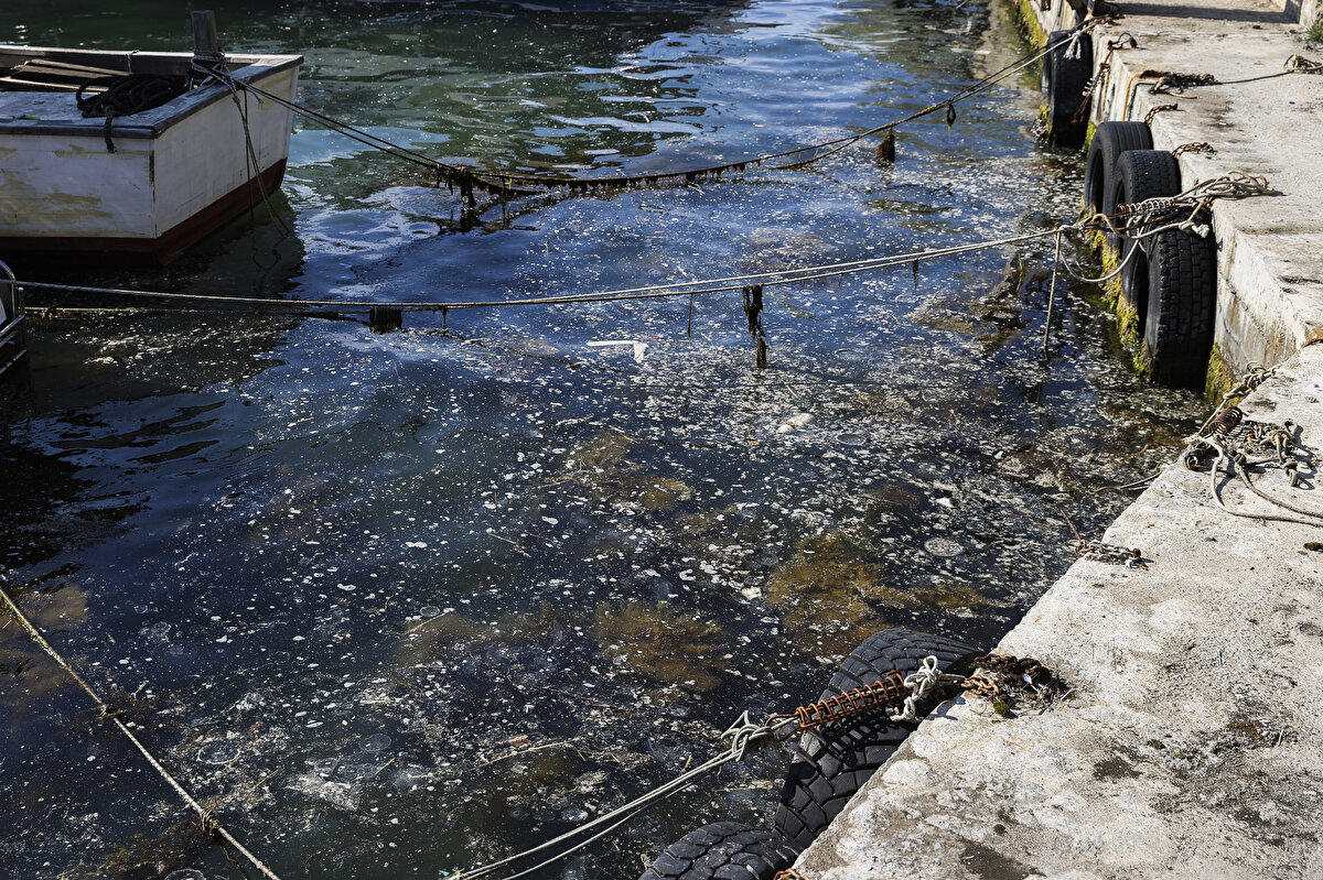 Beykoz sahilinde balıkçı barınaklarının bulunduğu bölgede yoğunlaştığı görülen müsilaj, çevre sakinleri ile balıkçılar tarafından da fark edildi.