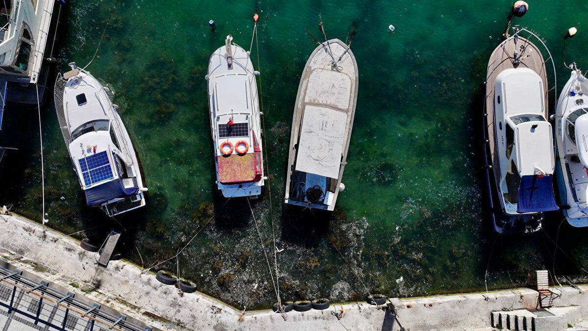 Boğaz'da balık kokar mı? Şu vaziyetin başlamasını ben 1 ay önce tahmin ettim, 'Müsilaj buraya doğru geliyor.' dedim. Sarı dip otları var, bu otların büyümesiyle birlikte müsilajın çoğalacağını tahmin ediyorduk. Tahmin ettiğimiz gibi de oldu. Atık istasyonları denetlenmeli, bunlar sıklaştırılmalı.