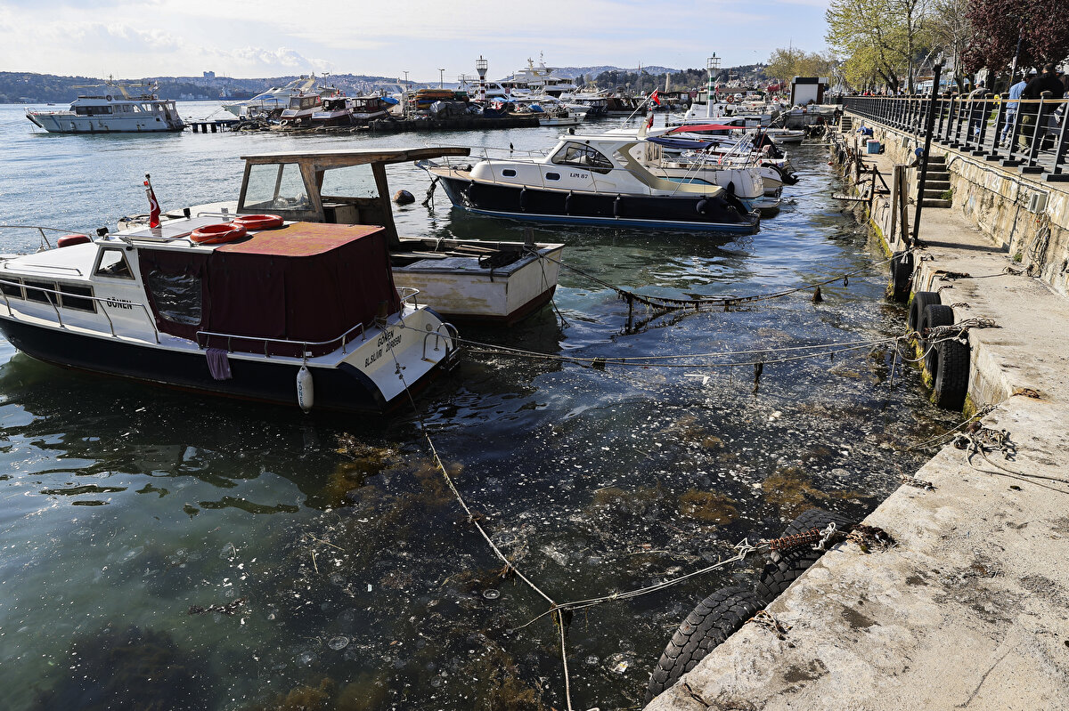 Çevre sakinleri denizin dibinde yoğunlaşan müsilajın, birkaç gündür yüzeyde de görülmeye başlandığını bildirdi.