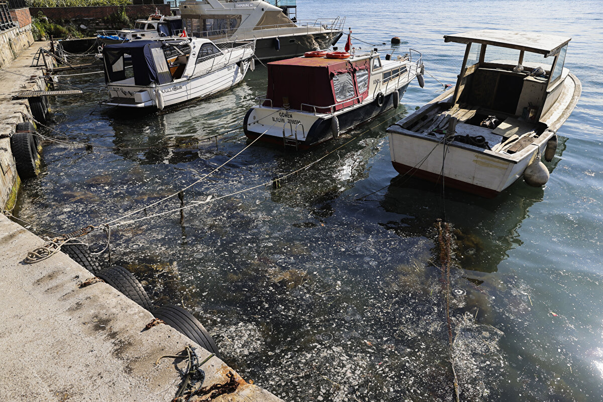Öte yandan, Kadıköy'de Moda Sahili'nde kıyı şeridinde de müsilaja benzer kirlilik olduğu gözlendi.