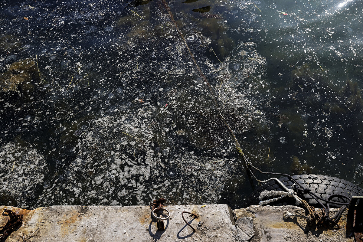 Bir ay öncesine kadar bu kadar kirlilik olmadığını ifade eden Demirkaya, şöyle konuştu:<br><br>"Oltalara yapışıyor, ağların gözlerini kapatıyor, yıkasak dahi çıkmıyor. Pis, petrol kokusu gibi bir kokusu var. Müsilajdan dolayı fazla balık avlayamıyoruz. Şimdi tekir zamanı. Peki, müsilajdan çıkan balıklar sağlığa zararlı mı? Bunun araştırması yapılmalı çünkü kokuyorlar. Geçen yıl istavritleri satamadık, alanlar balıkları kokuyor diye geri getirdi.