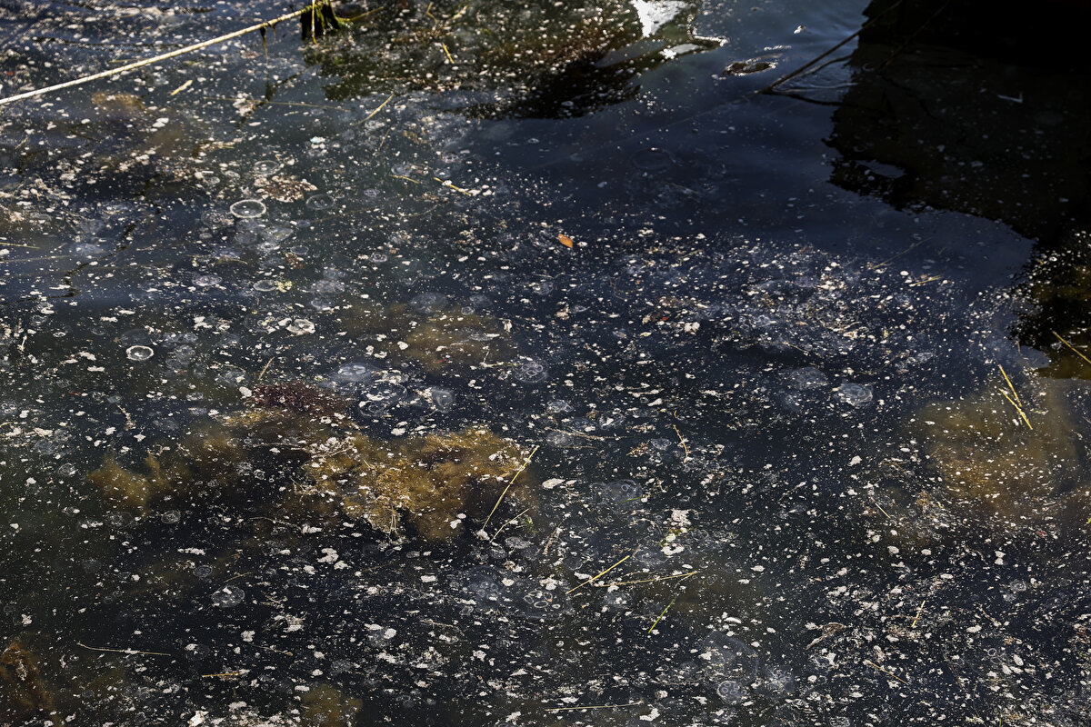 Buna çare bulunmazsa geleceğe bir şey bırakamayacağız, buna üzülüyorum. Bu şekilde olursa İstanbul Boğazı'nda denize girilmez."<br><br>Çevre sakinlerinden İbrahim Etemtiz de müsilaj nedeniyle denizin çok kirli gözüktüğünü ve canlıların zarar gördüğünü belirterek, biyolojik arıtma yapılması gerektiğini söyledi.