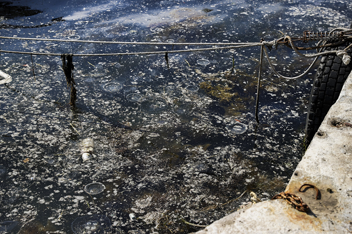 Beykoz Su Ürünleri Kooperatifi Başkanı Zeki Demirtaş, AA muhabirine yaptığı açıklamada, balıkçıların müsilaj nedeniyle muzdarip olduğunu belirterek, "İki buçuk aydır biz müsilajdan etkileniyoruz. Sabah ağ atıyoruz, yarım saat sonra çekiyoruz." dedi.