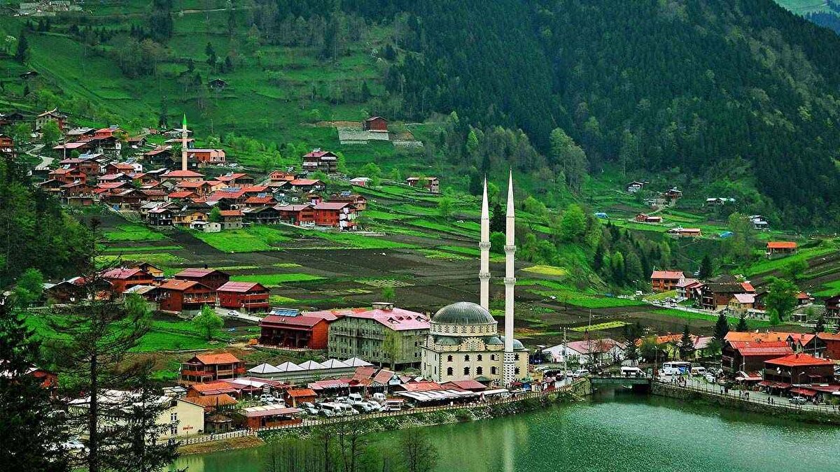 Giresun ve Trabzon<br><br>Bu şehirler de güvenli bölgeler arasında gösteriliyor.