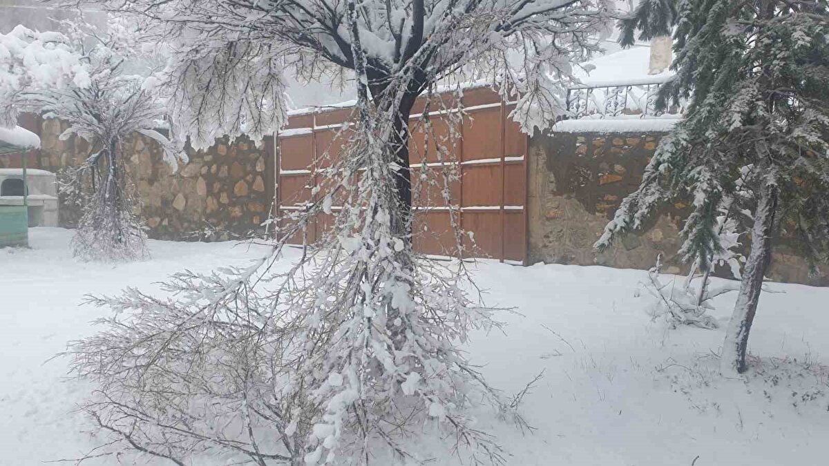 Karın ağırlığına dayanamayan bazı ağaçların dalları kırılarak zarar gördü. Nisan ayında bu kadar kar beklemediklerini ifade eden vatandaşlar, yazı beklerken kar yağışının kendileri için sürpriz olduğunu belirtti.