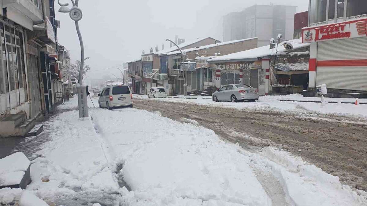 Başkale ilçesinde yağan kar yağışı hayatı olumsuz yönde etkiledi. Kar yağışı nedeniyle araçlar kar altında kalırken, 13 kırsal mahalle ve mezra yolu da ulaşıma kapandı.