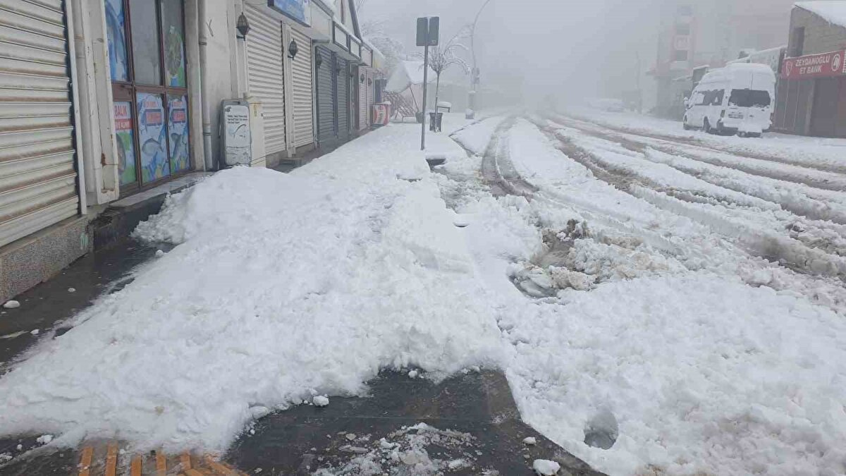 Nisan ayında etkili olan fırtına, tipi ve kar yağışı sürücülere de zor anlar yaşattı. Van-Başkale kara yolu üzerinde bulunan Güzeldere Tüneli bölgesinde ise kar yağışı nedeniyle bazı araçlar mahsur kalırken, ekiplerin çalışmaları sonucu trafik yeniden sağlandı.