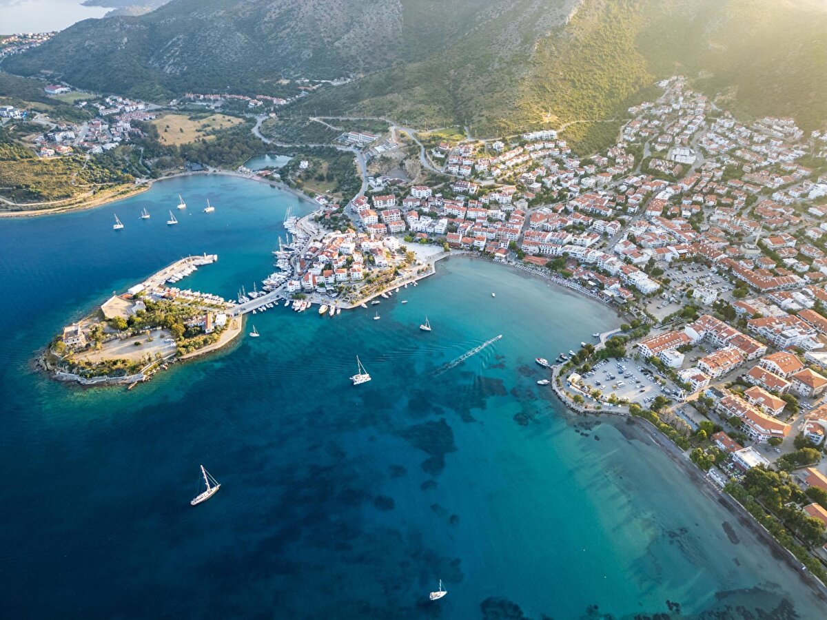 İlçe Tarım Müdürlüğü ekipleri tarafından, keçideki klinik muayene ve alınan numunelerle yapılan laboratuvar analizleri sonucunda 'mavi dil hastalığı' bulgularına rastlandı.