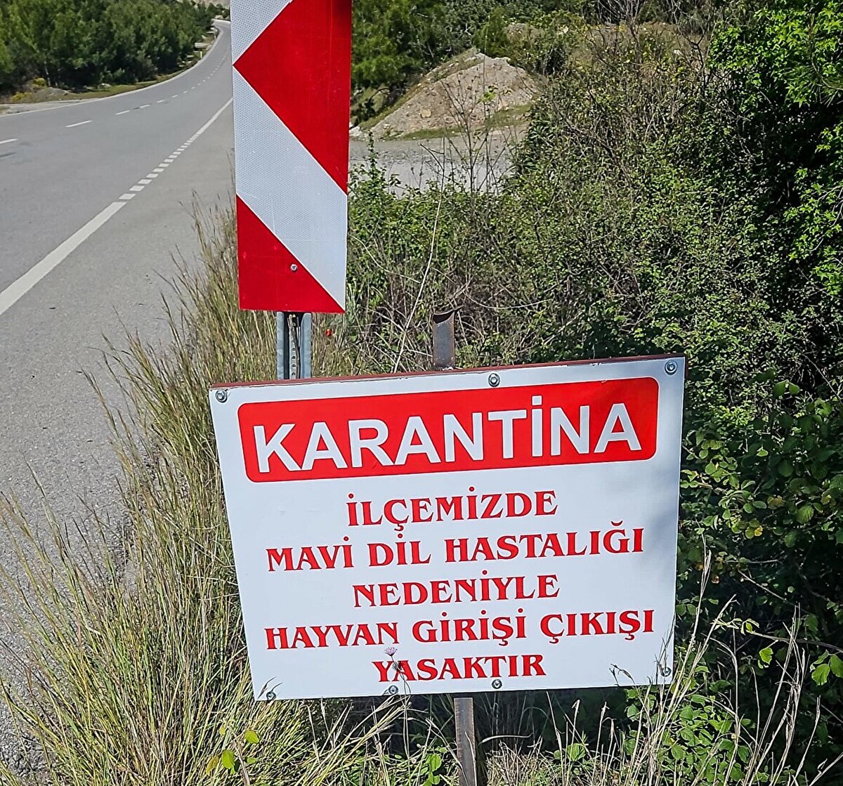 Hastalığın yayılımını önlemek ve hayvan sağlığını korumak amacıyla kırsal Emecik Mahallesi'nden Yazıköy Mahallesi'ne kadar ilçe genelinde 40 gün boyunca karantina uygulamasına geçilip hayvan giriş çıkışı durduruldu. Karantinayla ilgili ilçe girişine uyarı tabelası konuldu.