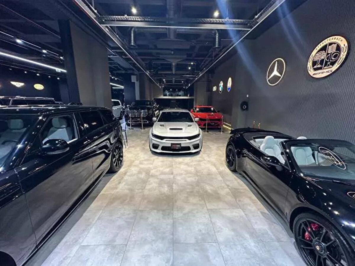 Polestar: 0 <br><br>Porsche: 3-911, Boxster, Cayman <br><br>Renault: 2-Clio, Captur<br><br> Seat: 4 - Arona, İbiza, Leon, Ateca <br><br>Skoda: 5 - Fabia, Kamiq, Karoq, Octavia, Scala <br><br>Suzuki: 4 - Ignis, S-Cross, Swift, Vitara<br><br> Tesla: 0