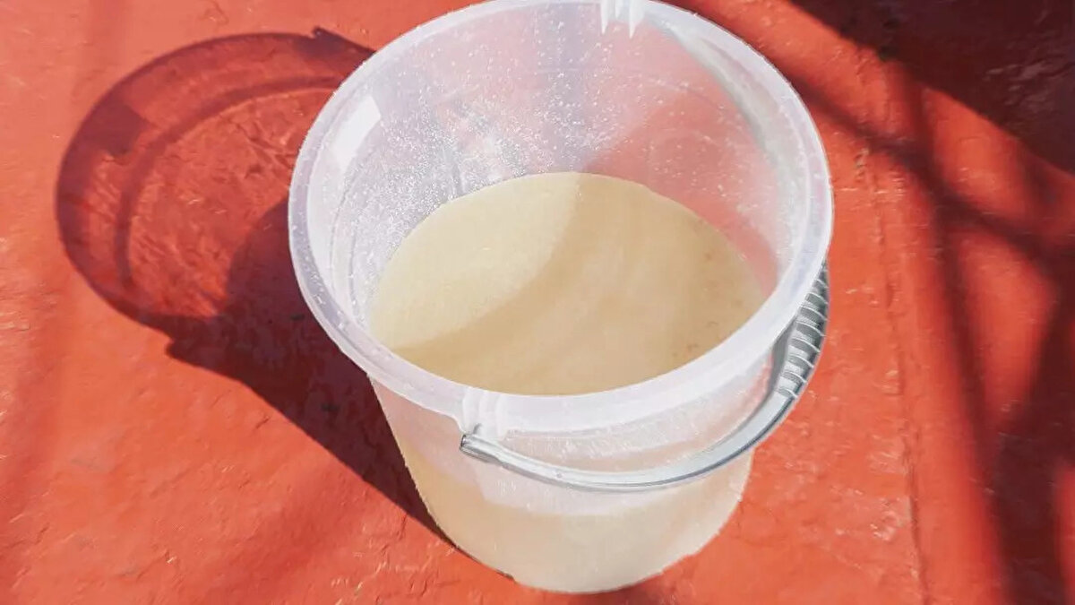 "22 MADDELİK GÜÇLÜ BİR PLAN ORTAYA KONDU"<br>Müsilaja elverişli koşulların sürdüğünü aktaran Prof. Dr. Salihoğlu, "Oksijensizlik durumu devam ediyor. Yani müsilaj oluşumuna elverişli koşulların sürdüğünü görüyoruz. Kirlilik baskısı da devam ediyor. Önümüzdeki dönemlerde müsilajın ne şekilde görüleceği biraz da iklim koşullarına bağlı olacak. Çünkü mevcut kirlilik baskısı sürdüğü sürece ve Karadeniz suyundaki girişlerde bir azalma olduğu sürece, son aylarda Karadeniz’de belli bir kuraklığın devam ettiğini biliyoruz, Marmara’daki yüzey suyunda değişim az olacaktır. Bu da önümüzdeki aylarda daha yoğun bir sürecin habercisi olabilir. Ancak buradaki ana hedef, oksijen seviyesinde artış sağlamak. Oksijeni artırmak için de hem şehir atıklarının bir an önce ileri biyolojik arıtmaya geçirilmesi, hem de yayılı kaynaklardan gelen girdilerin azaltılması gerekiyor. Biliyorsunuz, Marmara Eylem Planı çerçevesinde 22 maddelik güçlü bir plan ortaya kondu. Bu maddelerden birçoğu yerine getirildi. Ama 2 maddede özellikle hassasiyet göstermemiz gerekiyor. Bir tanesi, şehir deşarjlarının muhakkak ileri biyolojik arıtmadan sonra Marmara'ya verilmesi. Diğeri de, Susurluk Havzası gibi havzadan giren nehirlerin, akarsuların kirlilik seviyelerinin bir an önce düşürülmesi. Akarsu habitatlarının rehabilite edilmesi ve buraya verilen deşarjların azaltılması çok çok büyük önem arz ediyor. Bilim Kurulu olarak bir diğer önem verdiğimiz konu da Marmara Denizi'ndeki koruma alanlarının bir an önce genişletilmesi, tüm kıyıların koruma alanı ilan edilmesi ve balıkçılık faaliyetlerinin buralarda kontrol edilmesi yönünde. Kararlılıkla bu eylem planını hayata geçirirsek daha sağlıklı bir Marmara'nın mümkün olduğunu düşünüyoruz" diye konuştu.