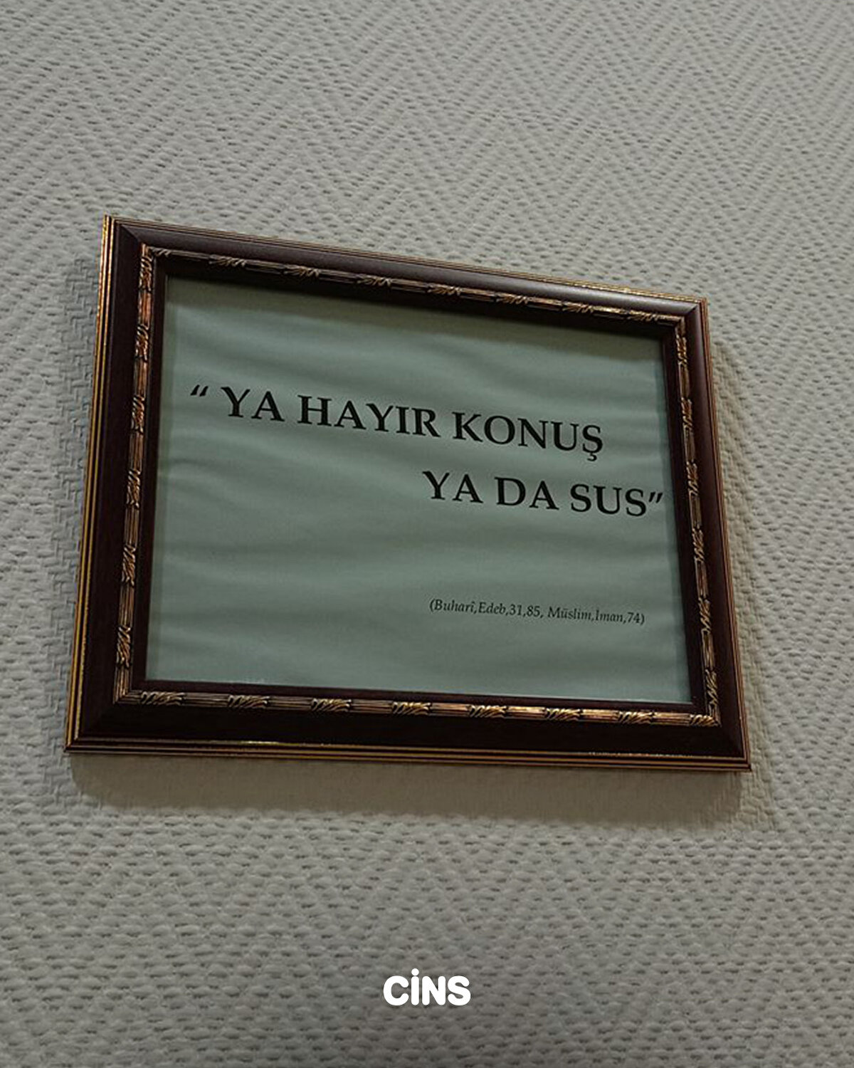 Ya hayır konu ya da sus.