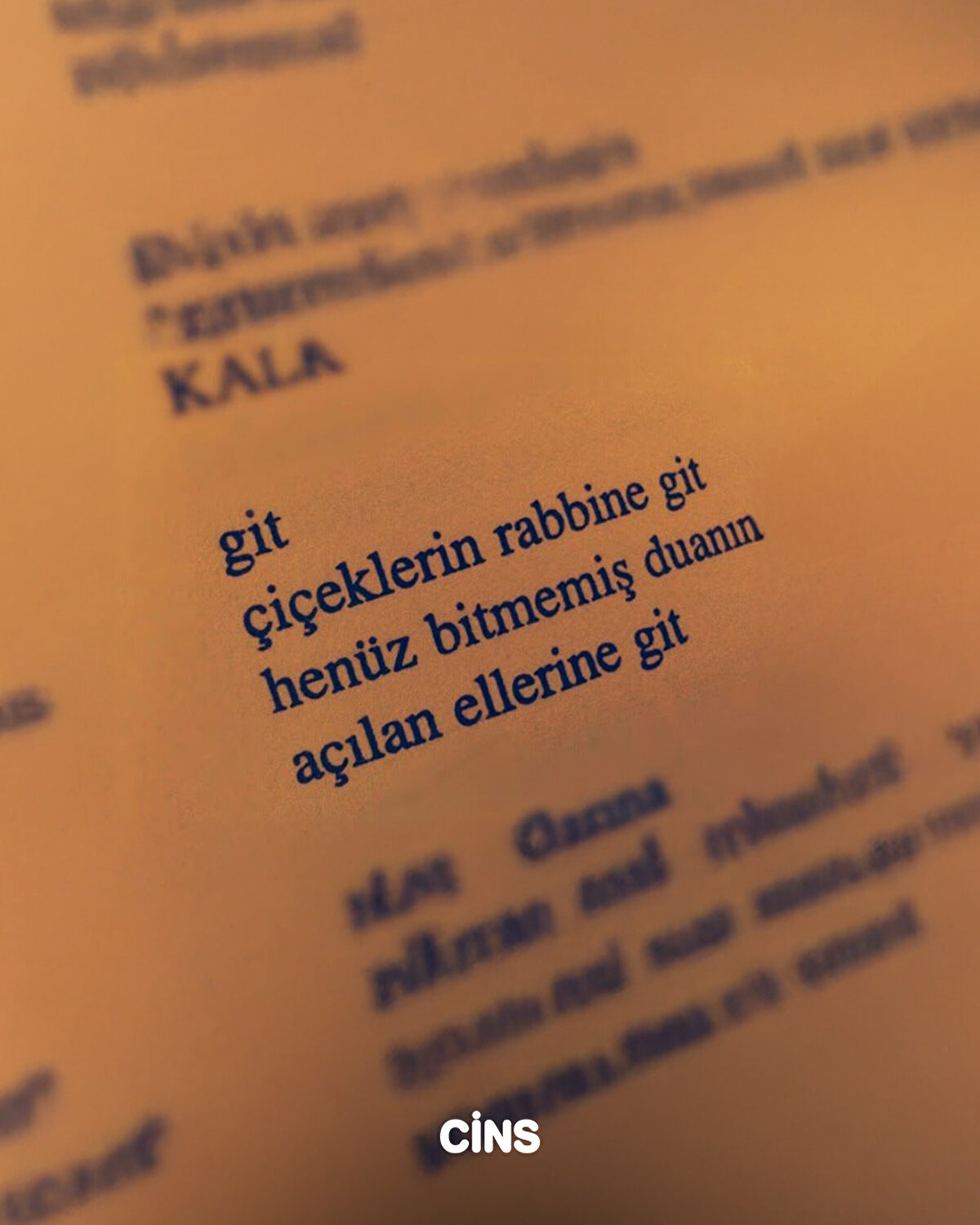 Git. çiçeklerin ragbine git. henüz bitmemiş duanın açılan ellerine git. 