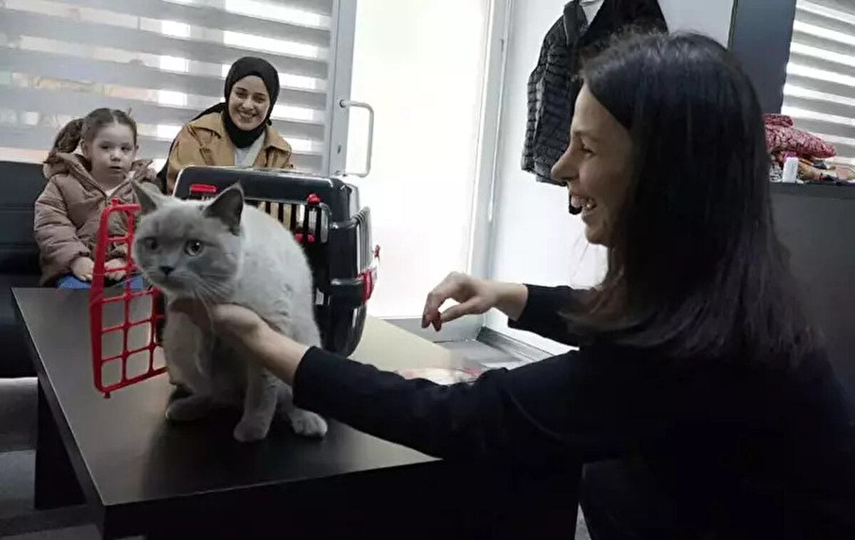 "Kedimiz bulununca çok mutlu olduk"<br><br>Yaşadığı olayın ardından kedisine takip cihazı taktırmaya karar verdiğini anlatan Özge Sağlam, "Kedimiz bulununca çok mutlu olduk. Altın kalpli bir insanı, altınla ödüllendirdik. Ümidimizi kaybediyorduk. Başına bir şey gelmiştir diye düşünüyorduk. 10 gün üzerine, bir telefon sayesinde kedimizi bulduk. Bulunduğu yere kadar nasıl gidebildiğini bilemiyoruz. 