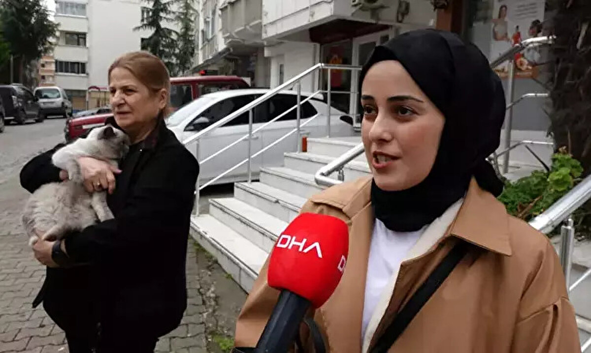 Bazı çocukların kediyi gördüğünü söylemesi üzerine işaret edilen bölgeler defalarca kontrol edildi ancak Badem'e dair herhangi bir ize ulaşılamadı. Günlerce aranan kayıp kedi, Sibel Kazaz tarafından sahil kenarında dolmuş durağında bulundu. 