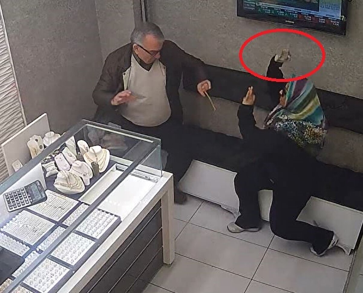 Şüpheli N.Ç.'nin ifadesine DHA ulaştı. Çalıştığı iş yerinde mobbinge uğradığını ve sıkıntıları olduğunu öne süren N.Ç. ifadesinde, "İstifaya zorlandım. Kripto para yatırımı yapmaya çalıştım ama mağduriyet yaşayıp, dolandırıldım. Borç yatağına girince psikolojim bozuldu. Çarşıda gezerken kuyumcuları gördüm. Ben bu kadar zorluk içinde olup, onların refah içinde olması sinirime dokundu. Olayı anlık kurgulayıp, rastgele bir kuyumcuya girdim. Amacım altınları çalmak olsaydı altınların hepsi önümdeydi. Etkisiz hale getirdikten sonra bunu yapardım ama yapmadım. İş yerine bir zarar vermedim. Yapmış olduğum eylemden dolayı çok pişmanım" dedi.