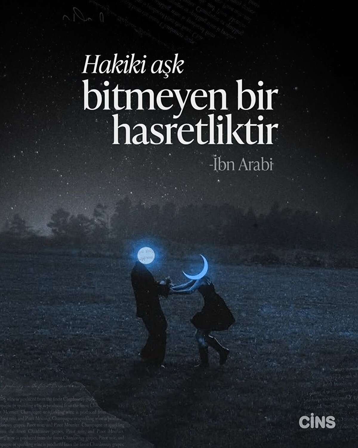 Hakiki aşk bitmeyen bir hasretliktir 

İbn Arabi