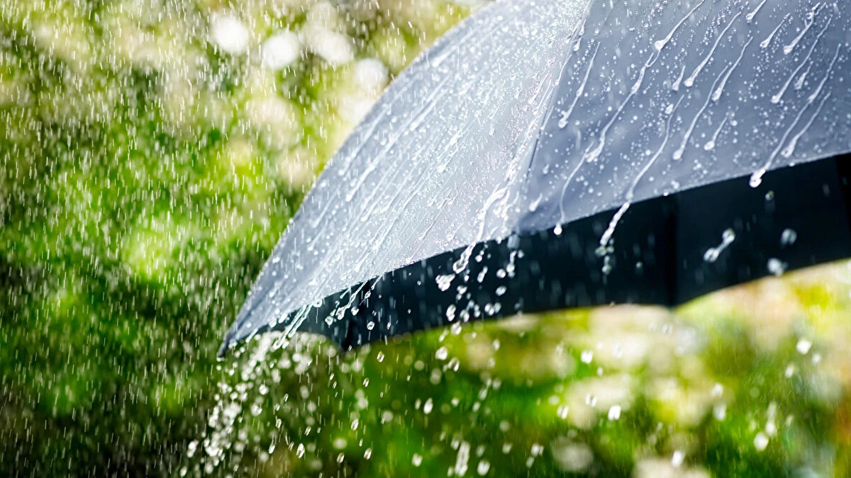 Çelik, yurdun kuzeydoğu bölgelerinde hafta boyunca aralıksız yağış görüleceğini, Doğu Karadeniz'in iç kesimleri ve Doğu Anadolu Bölgesi genelinde yağışların 1 hafta boyunca devam edeceğini ifade etti.