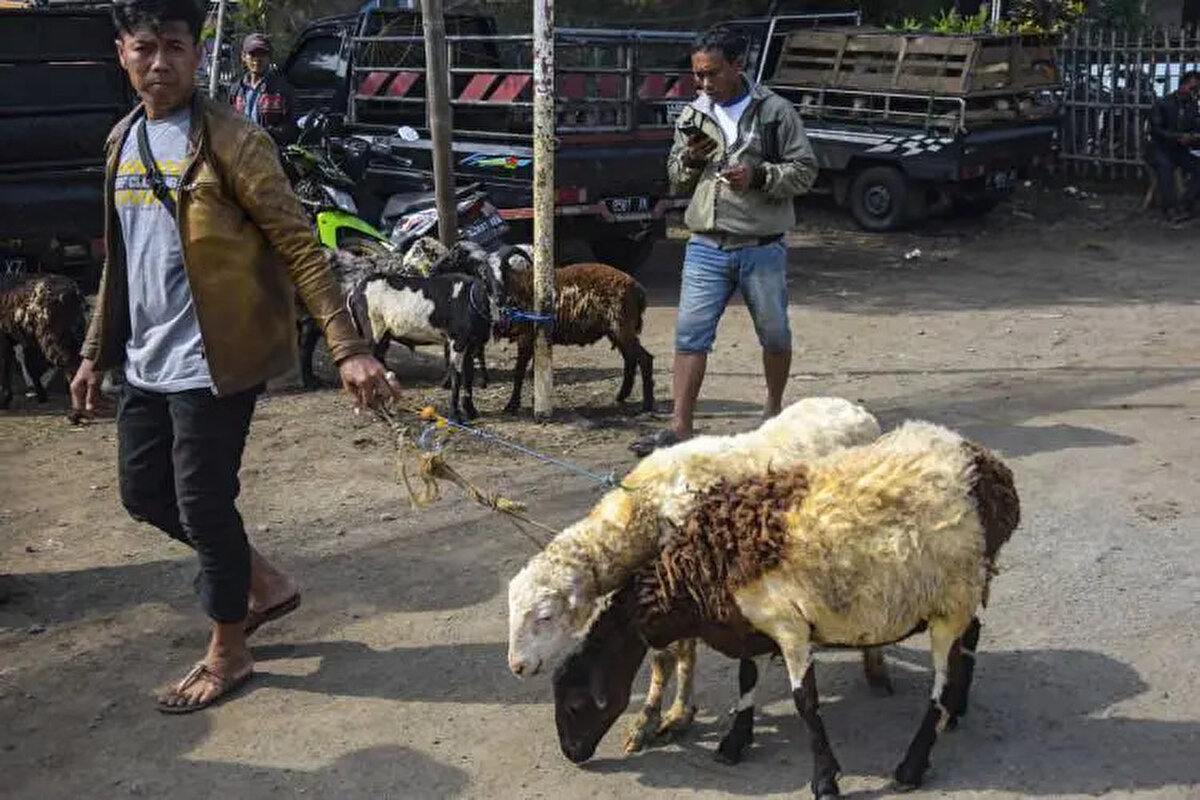 Diyarbakır<br><br> <br><br>Büyükbaş: 100.000-180.000 TL<br><br>Küçükbaş:10.000-15.000 TL