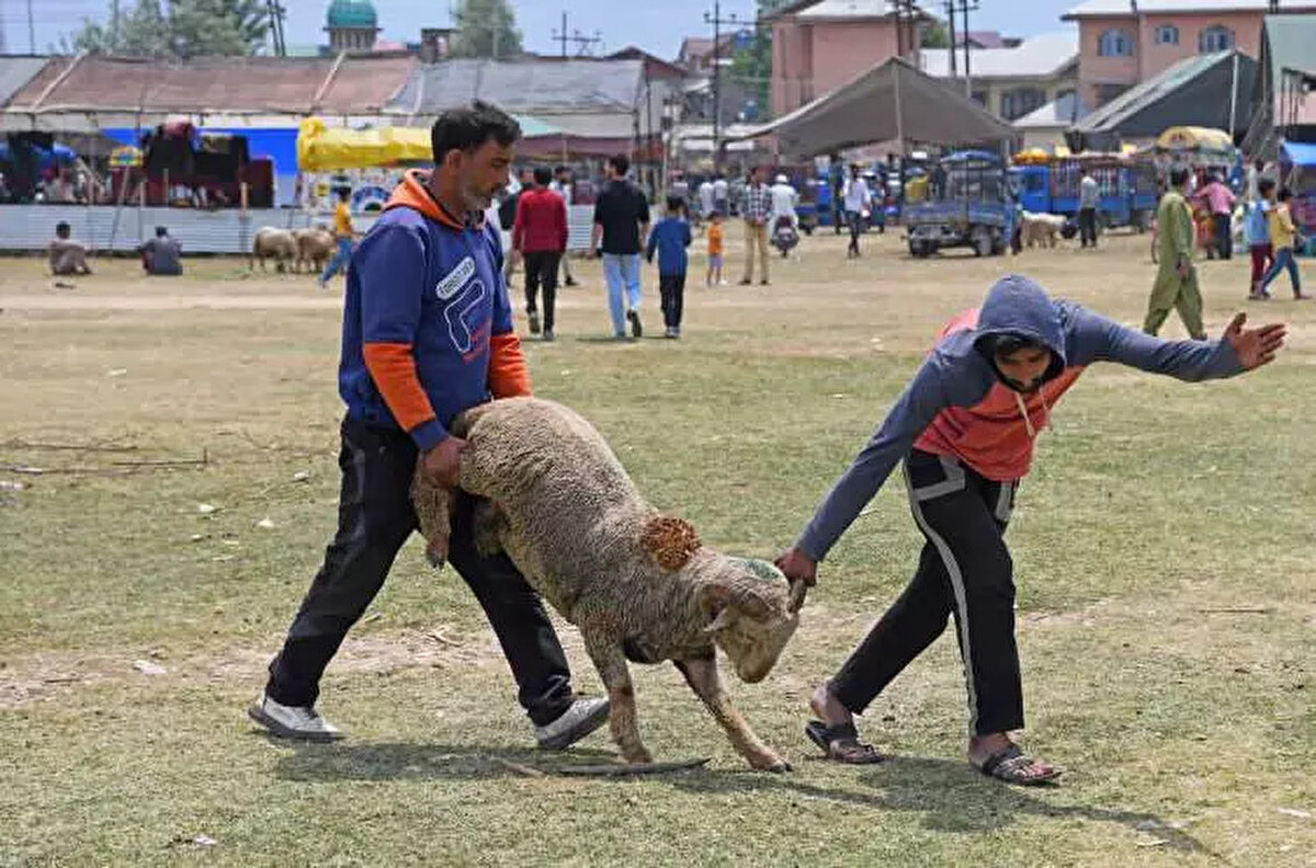 Gaziantep<br><br> <br><br>Büyükbaş: 75.000-170.000 TL<br><br>Küçükbaş: 10.000-20.000 TL