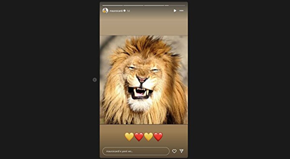Arjantinli futbolcu, Instagram hikayesinden sarı-kırmızılı emojilerle, gülümseyen Aslan fotoğrafı paylaştı.