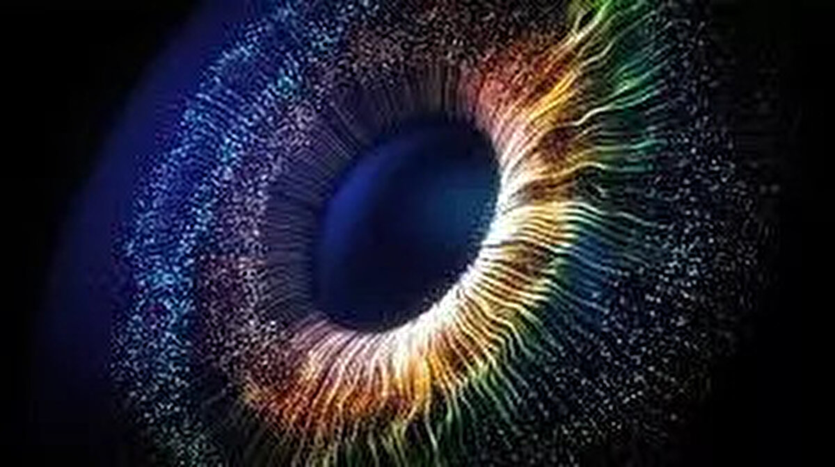 ABD'nin saygın kurumlarından Kaliforniya Üniversitesi, Berkeley'deki araştırmacılar, "olo" adını verdikleri yeni bir renk keşfettiklerini düşünüyor.<br><br>Mavi ve yeşilin yeni bir tonu olan bu rengin, bilinen tonlardan çok daha yoğun olduğu öne sürülüyor.