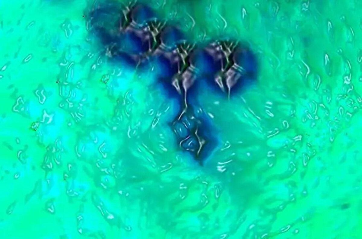 RENGİ ALGILAMAK<br><br>Renkler, gözün arkasındaki retina aracılığıyla algılanıyor.<br><br>Işığın belirli dalga boyları retinada yer alan ve koni hücreleri diye bilinen hücreleri uyarıyor ve bu da beyne belirli sinyallerin gönderilmesiyle sonuçlanıyor. Böylece renk algısı ortaya çıkıyor.