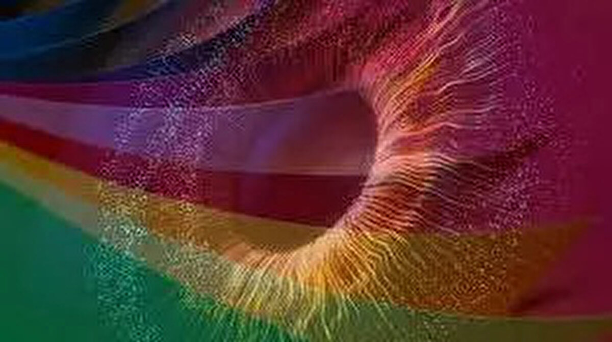 Ancak belirli bir ışık dalga boyu en az iki tip koniyi aynı anda uyarıyor; bu da algılayabildiğimiz renklerin aralığını ve doygunluğunu sınırlayan bir süreç.