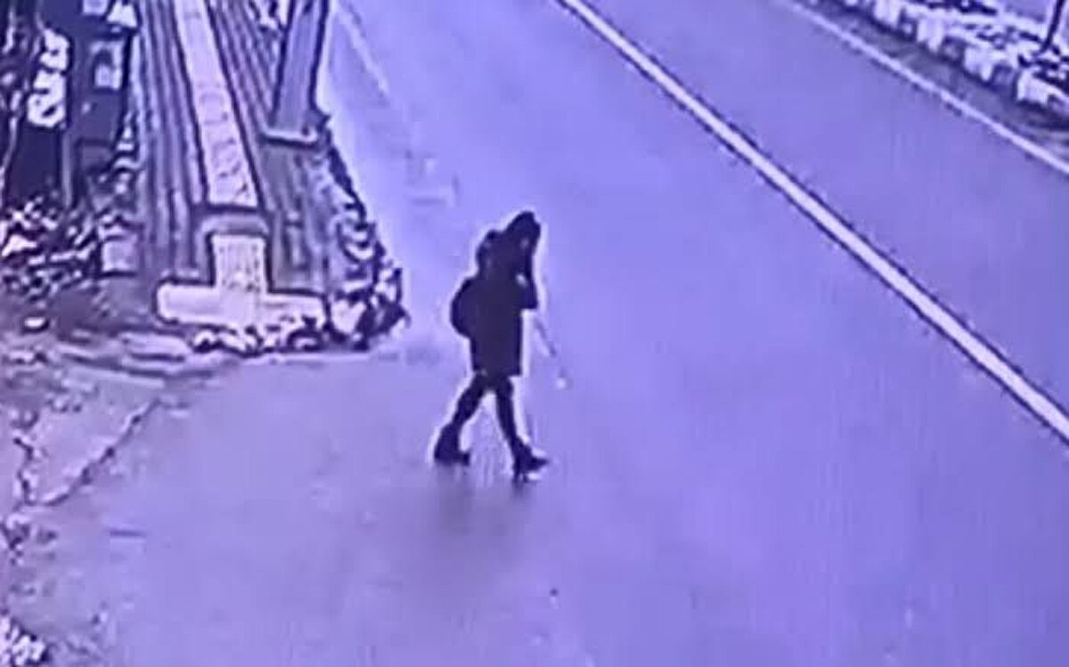 2 yıl sonra Antalya'da yakalandı<br><br>Tunceli Cumhuriyet Başsavcılığı'nın yürüttüğü soruşturmada, kaybolmadan önce son görüştüğü kişi olduğu belirtilen erkek arkadaşı Rusya doğumlu Zeinal A., olaydan yaklaşık 2 yıl sonra Antalya'nın Alanya ilçesinde gözaltına alındı. Zeinal A., 4 saat süren ifadenin ardından adli kontrolle serbest bırakıldı ve hakkında yurt dışı yasağı konuldu. Zeinal A., sorgunun başında avukat talep etmezken, sorgunun devamında avukatla görüşmek istediğin, belirtti. Zeinal A.'nın babası E.Y. hakkında da Gülistan Doku ile ilgili gizli kalması gereken kişisel bilgileri sosyal medyadan ifşa ettiği gerekçesiyle dava açıldı. Mahkeme, E.Y.'yi kişisel verileri ele geçirip, yaydığı gerekçesiyle 2,5 yıl hapse çarptırdı.