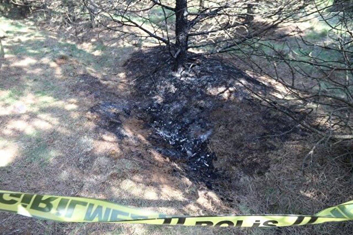 Ormanlık alanı araştıran ekipler bir ağacın altında yakılmış bir cansız beden buldu. Ekiplerce yapılan inceleme sonucunda cansız bedenin D.O'ya ait olduğu belirlendi.