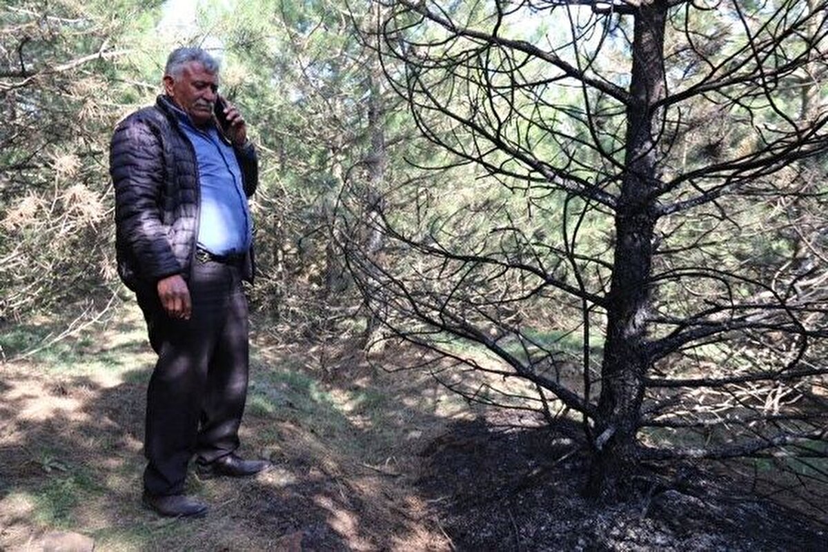 Olay yeri inceleme ekiplerinin çalışmasının ardından D.O'nun cansız bedeni otopsi yapılmak üzere kentteki bir hastanenin morguna kaldırıldı.